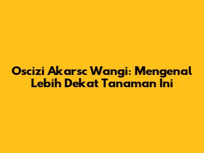 Oscizi Akarsc Wangi: Mengenal Lebih Dekat Tanaman Ini